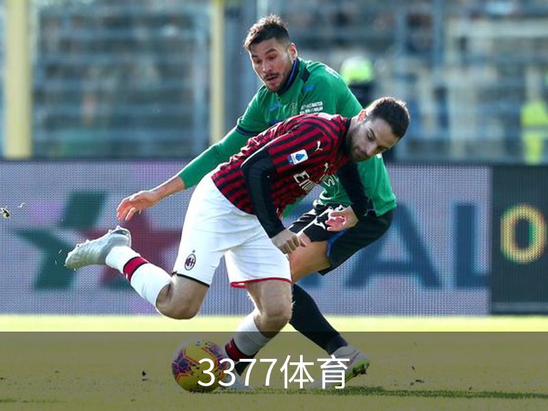 了解3377体育